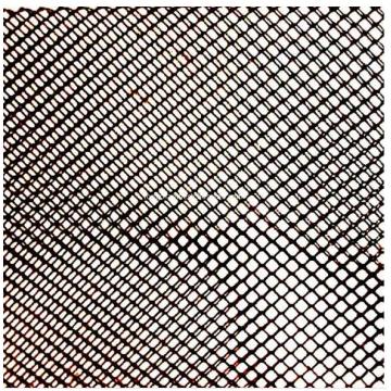 Kunststoff Diamond Oyster Cage Mesh