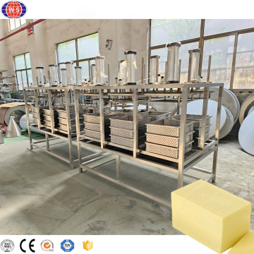 Sanitary Cheese Machine: Cheese Press for Processing