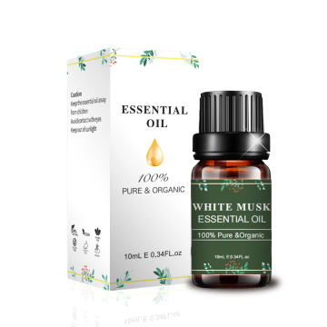 Massagem natural pura hidratante Óleo essencial de almíscar branco