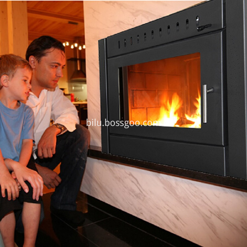 Log Burner Fireplace