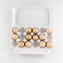 Biodegradable Pulp Egg Cartons with Custom Logo