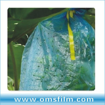 Blue banana grow plastic bag permeability