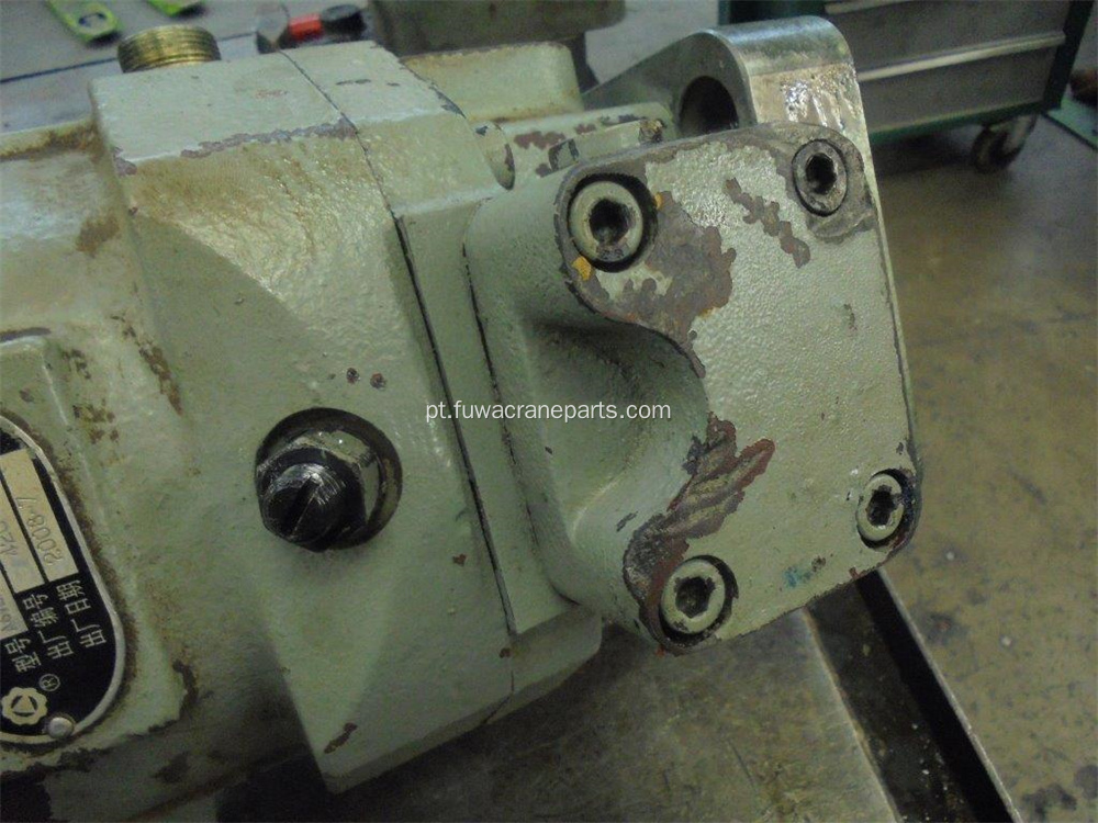 Crawler Crane Original Gear Box Zoomlion