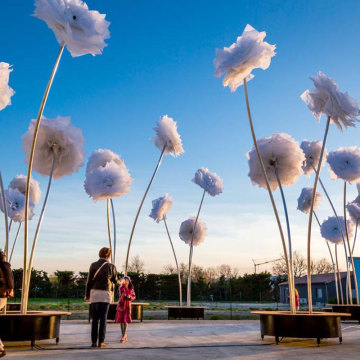 Giant Outdoor Flower Light Decorations: LED Project Lights for Holidays