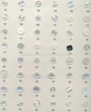 Polyester Button (Iii)