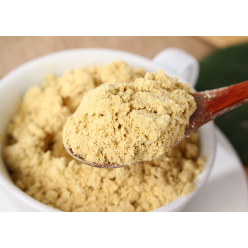 Pure and natural dried ginger powder