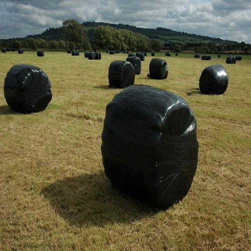 Golored Silage Gray Gray Gray Gray