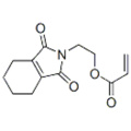 2-Propenoic acid,2-(1,3,4,5,6,7-hexahydro-1,3-dioxo-2H-isoindol-2-yl)ethyl ester CAS 125350-99-4