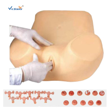 Gynecological Training Simulator Nursing Training Model