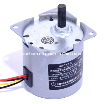 AC Sinlge Phase Synchronous Reduction Motor