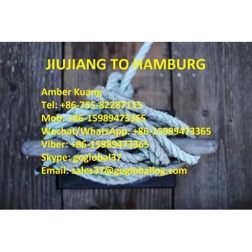 Jiangxi Jiujiang Sea Freight to Germany Hamburg