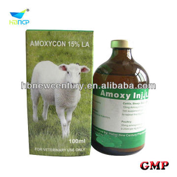 amoxicillin suspension