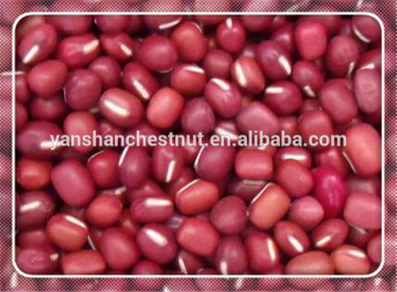 Adzuki Beans Small Red Kidney Beans