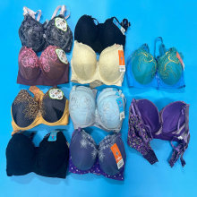 Dollar Model CG106 African Embroidery Wholesale Big Size Flower Bra