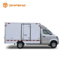 Electric Truck with Enclosed Container for Mongolia