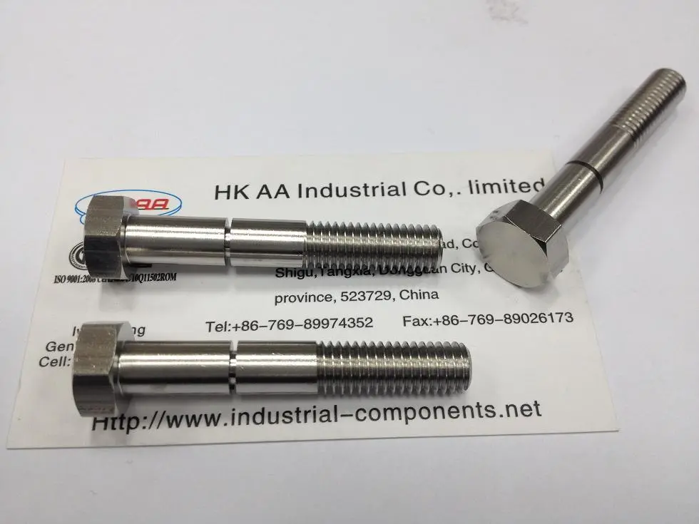 Stainless Steel Twin Lead Screw Helix Linear Lead Screw