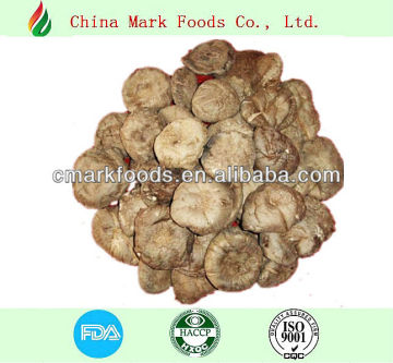 dried mushroom without flower