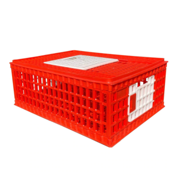 Plastic Chicken Transport Crates for Poultry Cages and Cage Transport