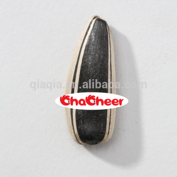 Crop 2015 sunflower seed