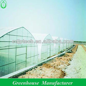 Low Tunnel Greenhouse For Blueberry, strawberry