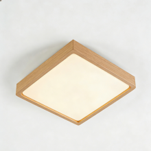 LED ceiling lighting for living areas