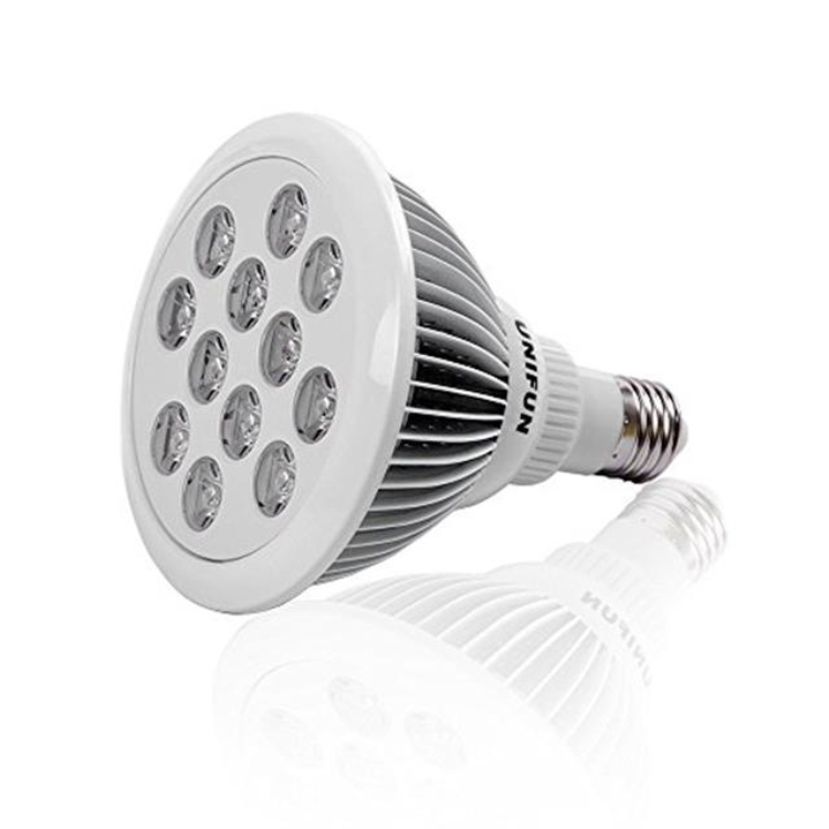 LED-Lamps_750