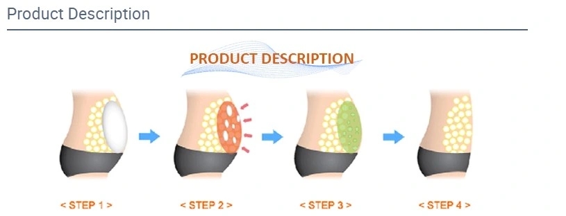 Korea-Lipo-Lab-Lipolab-Phosphatidylcholine-Ppc-Lipolysis-Injection.webp (2)