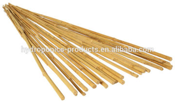 Bamboo Stakes, plant Bamboo Stakes, hydroponic Bamboo Stakes
