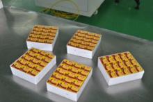 Chicken Bouillon Cube