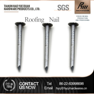 q195 galvanized clout nails from north china