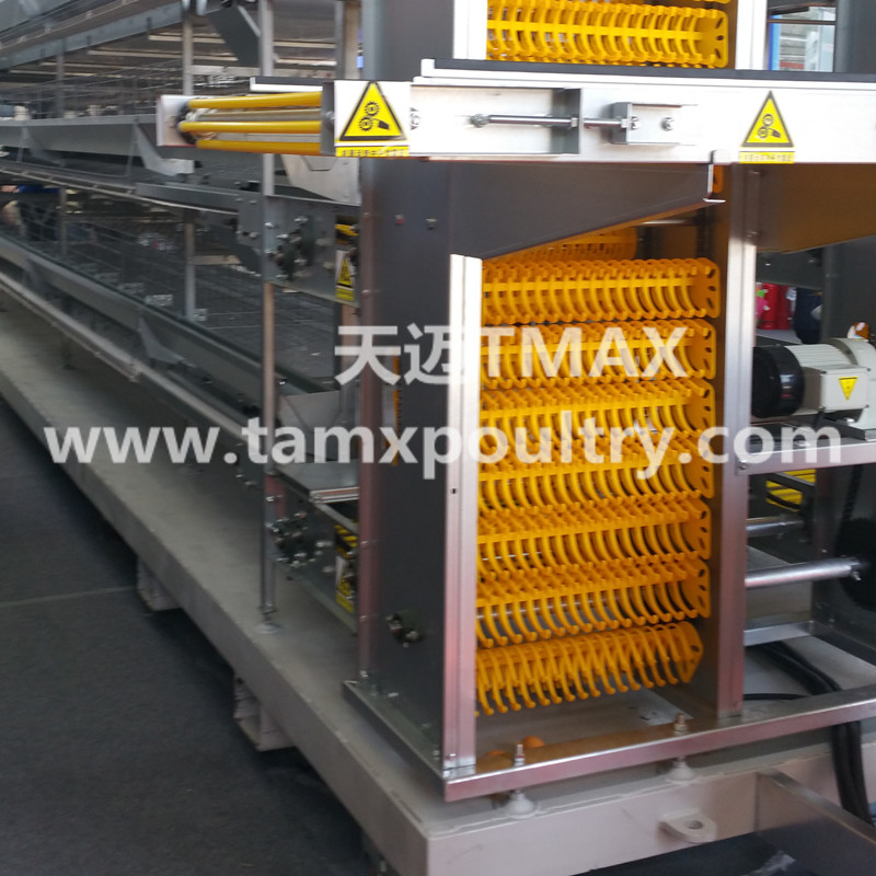 chicken egg conveyor
