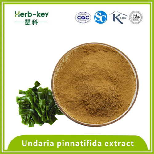 Contains polysaccharide 10:1 Undaria pinnatifida extract