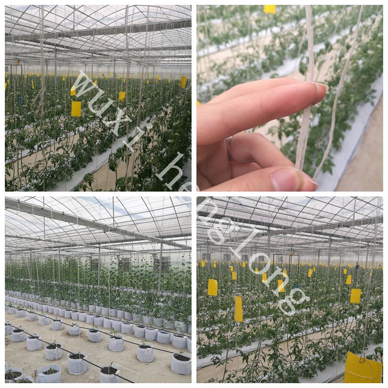 Sales of polypropylene yarn for farmhouse greenhouses