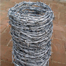 express galvanize barbed wire fixing