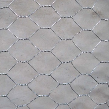 High Quality Galvanized Low Price Chicken Mesh