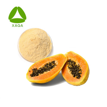 Natural Food Additives Papaya Extract Papain Powder