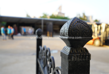 Front Yard Raw Iron Fence