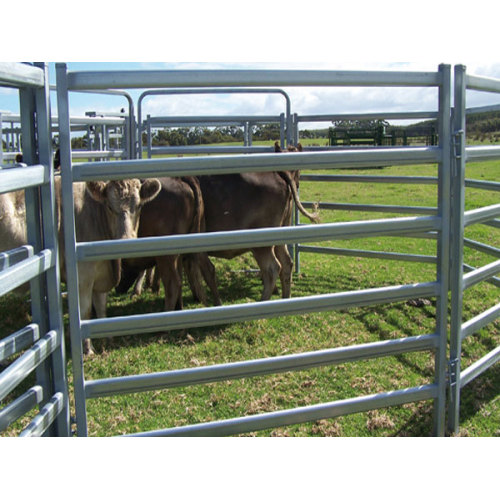 Metal Horse Fence Panels / Pipe Scherma per cavalli