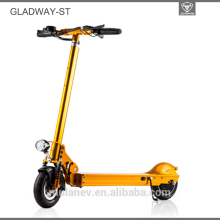 Skateboard Electric Scooter for Adults