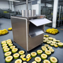 Industrial Cassava Slice and Fruit Slicer Machine