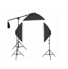 Professional digital imaging light box