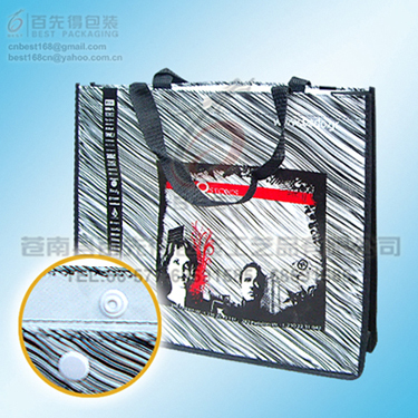 Non woven bag,shopping bag .packaging bag