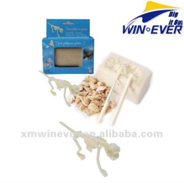 Theropithecus qelada Dig Kit