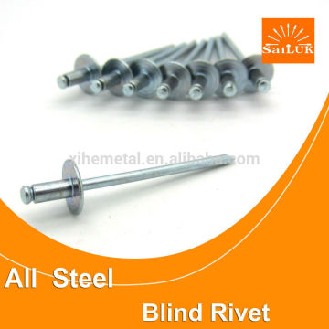 Steel large head nails