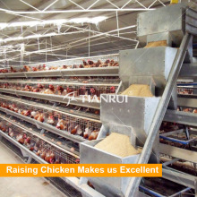 Tianrui-Entwurfs-hohe Qualität automatische Geflügel-Zufuhr-Ausrüstung für Huhn