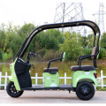 Liten trehjulig rekreations elektrisk trehjuling