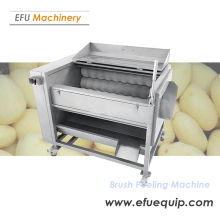 Brush Vegetable Washing Machine
