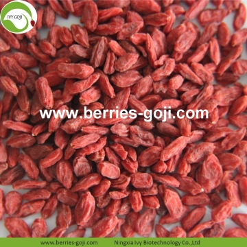 Factory Wholesale Nutrition Natural Zhongning Goji Berries