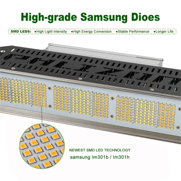 Luce crescente LED del sistema di controllo PWM