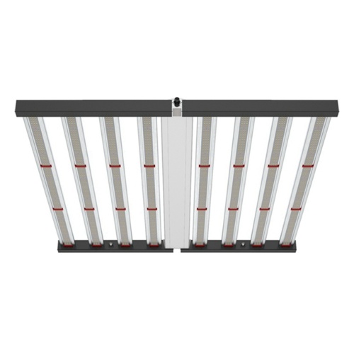 Phlizon 2021 Professional Fluence Led Lighting Grow